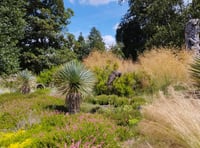 Here comes the rain again – but at least it's good for the plants!