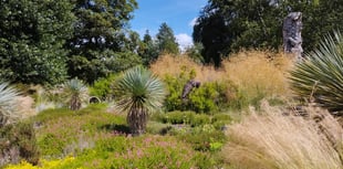 Here comes the rain again – but at least it's good for the plants!