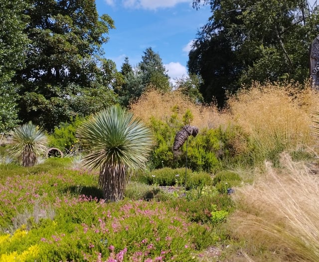 Here comes the rain again – but at least it's good for the plants!