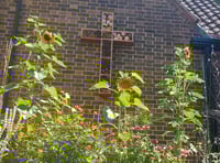 Gold award for green-minded Woking church