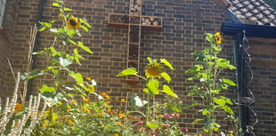 Gold award for green-minded Woking church