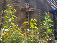Gold award for green-minded Woking church