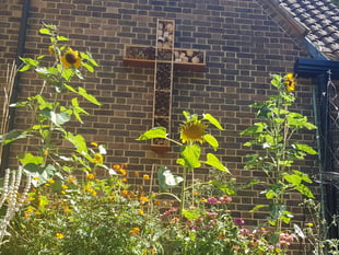 Gold award for green-minded Woking church
