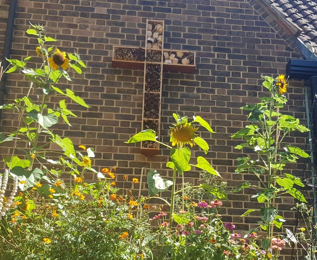 Gold award for green-minded Woking church