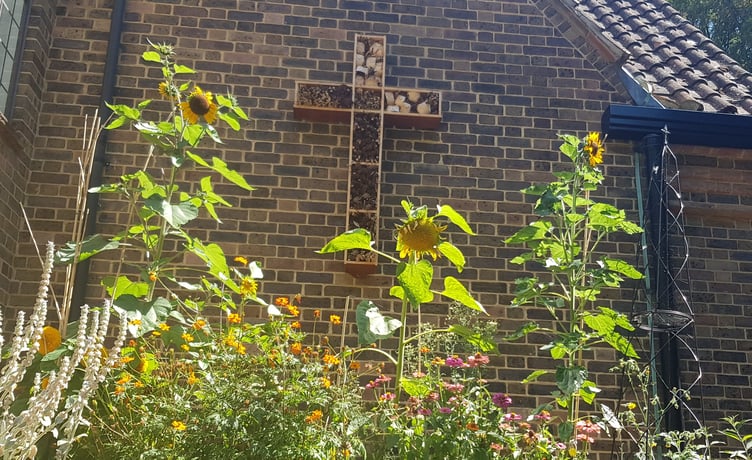 Bee hotel in Woking United Reformed Church garden