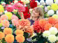 RHS Wisley Flower Show blooms despite unkind weather