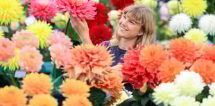 RHS Wisley Flower Show blooms despite unkind weather