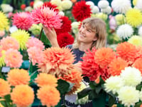 RHS Wisley Flower Show blooms despite unkind weather