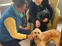 Horsell Lodge marks National Hug A Hound Day