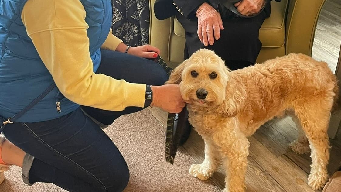 Care home marks marks National Hug A Hound Day wokingnewsandmail.co.uk