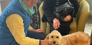 Horsell Lodge marks National Hug A Hound Day