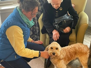 Horsell Lodge marks National Hug A Hound Day