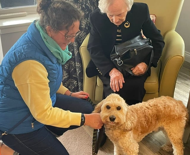 Horsell Lodge marks National Hug A Hound Day
