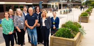 Vibrant planter displays help brighten St Peter's Hospital 