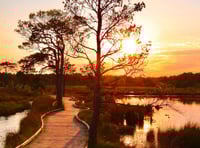 Surrey and Hampshire in top three for UK’s best walking spots 