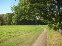 Enjoy a walk around Homewood Park