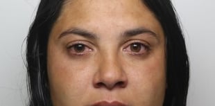 Woman sentenced to prison after spate of thefts