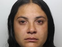 Woman sentenced to prison after spate of thefts