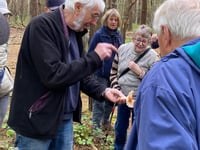 What I discovered about fungi on a Horsell Common walk