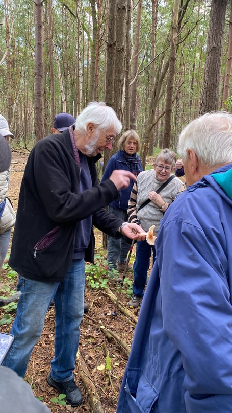 Horsell Common fungi