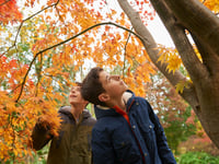 Autumn half-term activities 