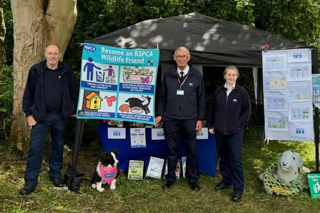 RSPCA seeks nature nurturers to become Wildlife Friends volunteers 