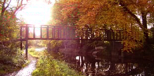 Enjoy autumn walks among the falling leaves