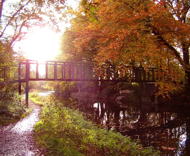 Enjoy autumn walks among the falling leaves
