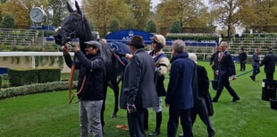 City Of Troy’s Breeders Cup Classic bid ends in disappointment