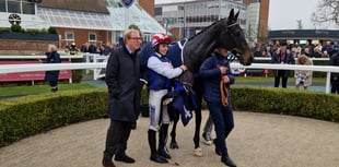 Knight's Choice wins Melbourne Cup in thrilling finish