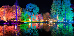 A festive treat is in store for visitors at RHS Wisley