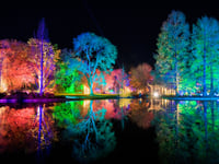 A festive treat is in store for visitors at RHS Wisley