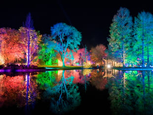 A festive treat is in store for visitors at RHS Wisley