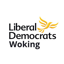 Woking Liberal Democrats respond to the Grant Thornton report