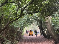 Brookwood Cemetery remembered