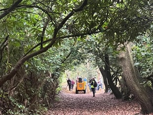 Brookwood Cemetery remembered