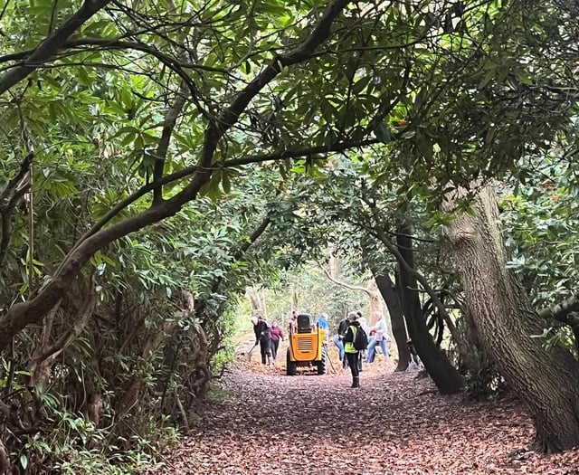 Brookwood Cemetery remembered