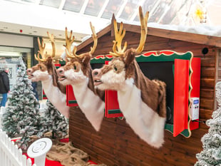 Visitors can make the most of the festive season at Victoria Place