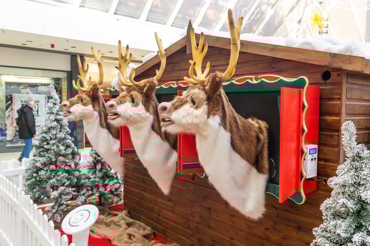 Victoria Place Woking Singing Reindeer