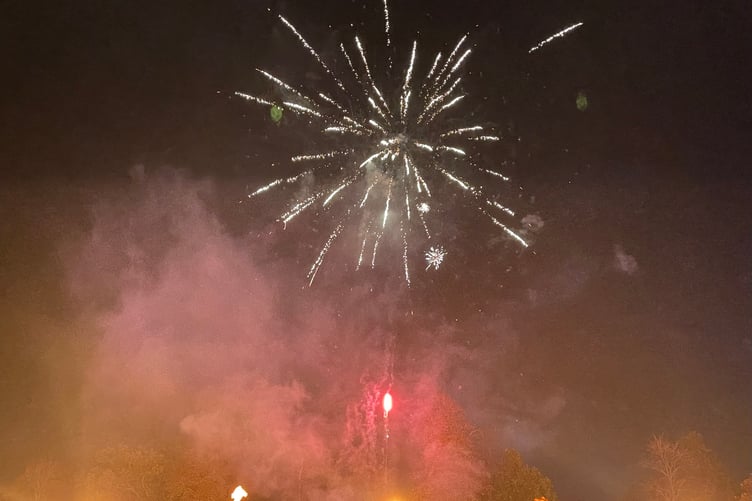 Woking District Rotary Club fireworks
