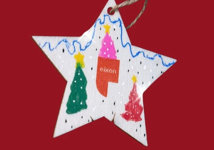 Eikon Christmas Star appeal