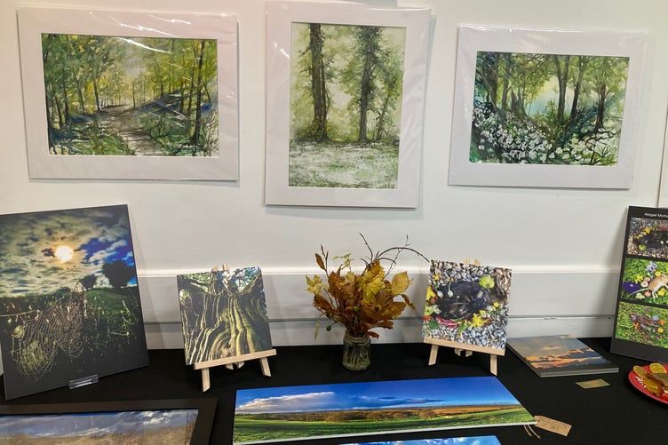 PeCAN exhibition November 2024