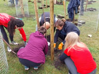 Knaphill schools dig in to create orchard