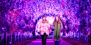 Get set, Glow at RHS Wisley
