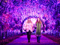 Get set, Glow at RHS Wisley