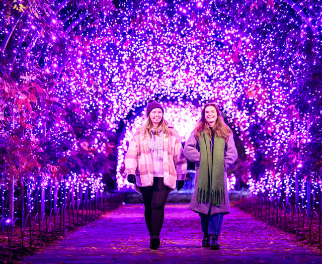 Get set, Glow at RHS Wisley