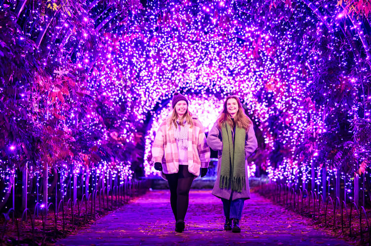 Press shots for Glow at RHS Garden Wisley - November 2024