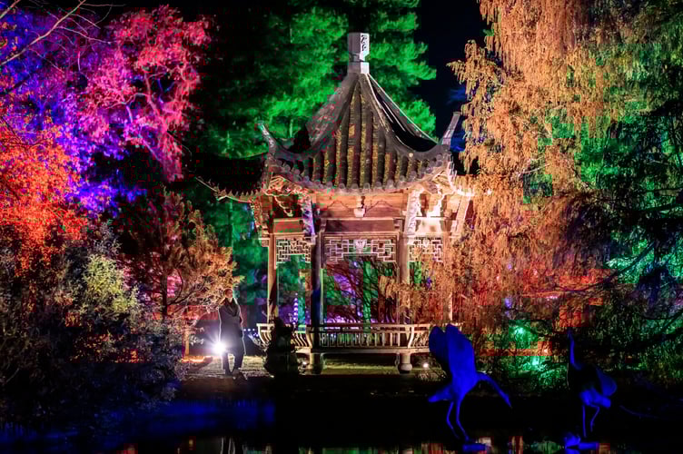 Press shots for Glow at RHS Garden Wisley - November 2024