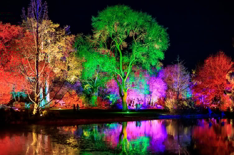 Press shots for Glow at RHS Garden Wisley - November 2024