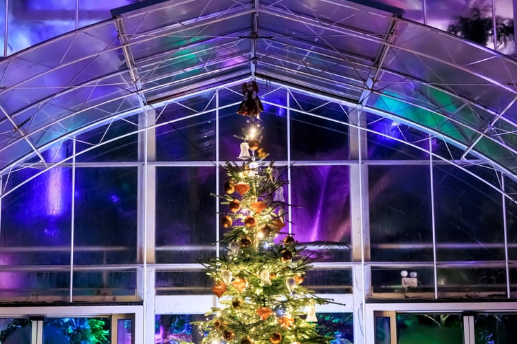 Press shots for Glow at RHS Garden Wisley - November 2024